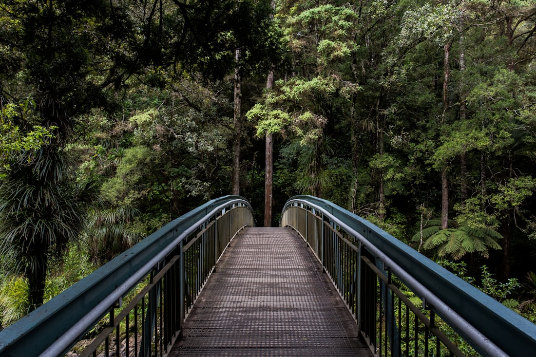 Schmale Brücke, die in einen sonnendurchfluteten Wald führt